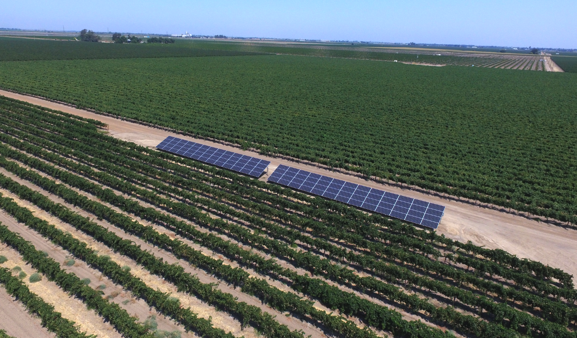 Solar arrays in vineyard aerial view