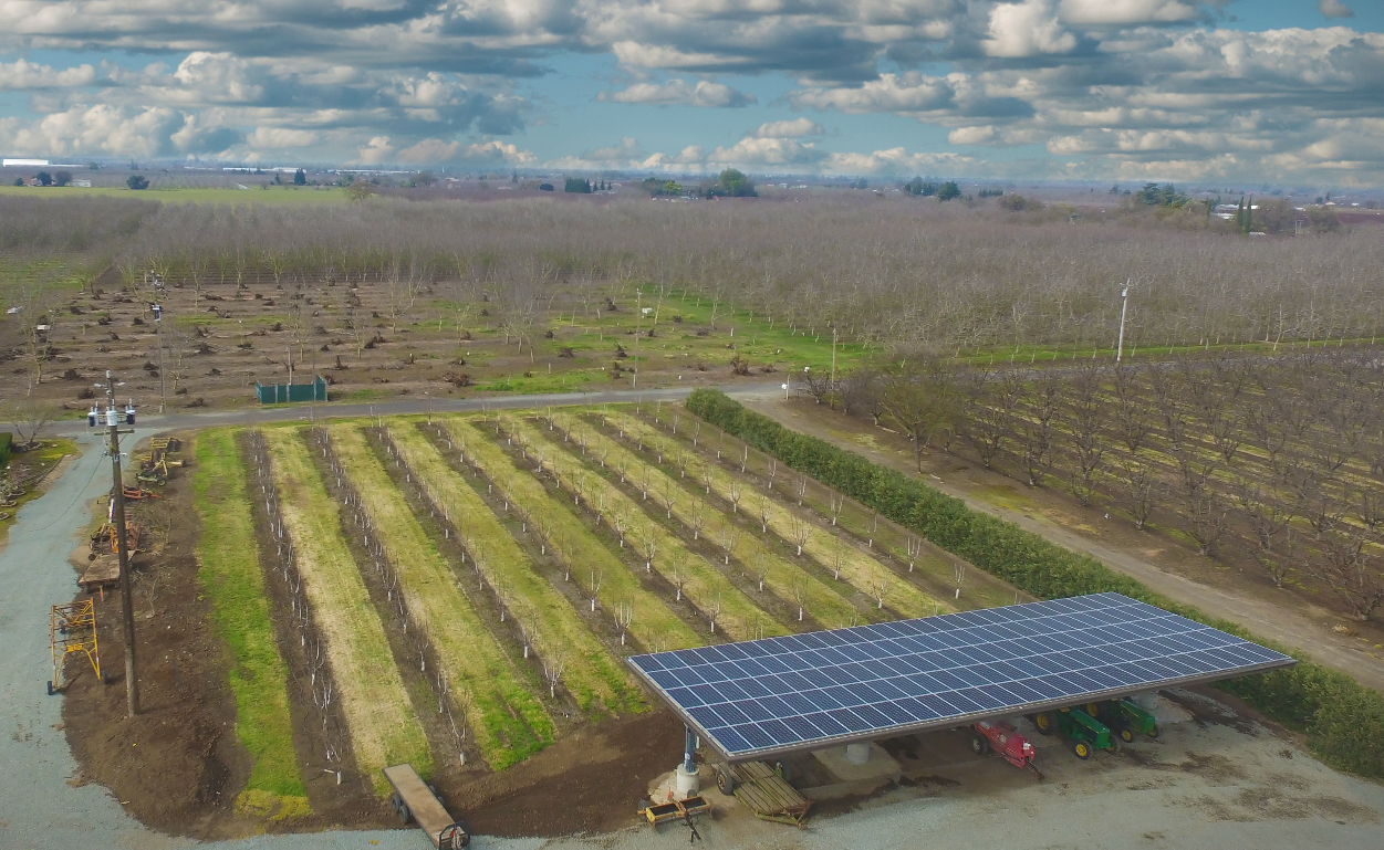 aerial view of finished solar array in vineyard