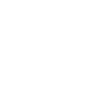 https://lenzicon.com/wp-content/uploads/commercial-partner-willow-shopping-center.png